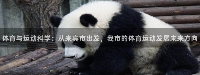 探球体育比分即时比分：体育与运动科学：从来宾市出发，我市的体育运动发展未来方向