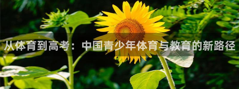 关键词
