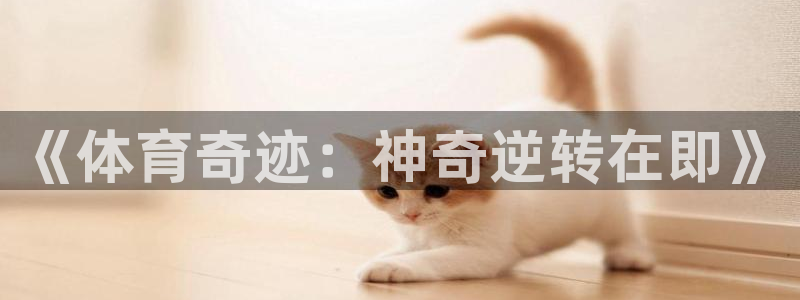 探球体育app