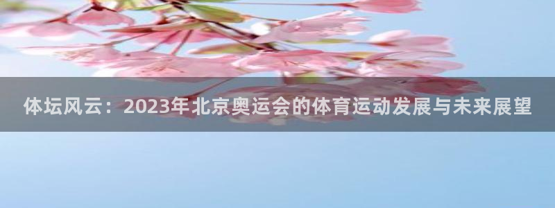 探球体育比分