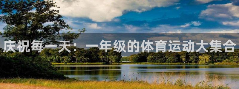 探球体育比分