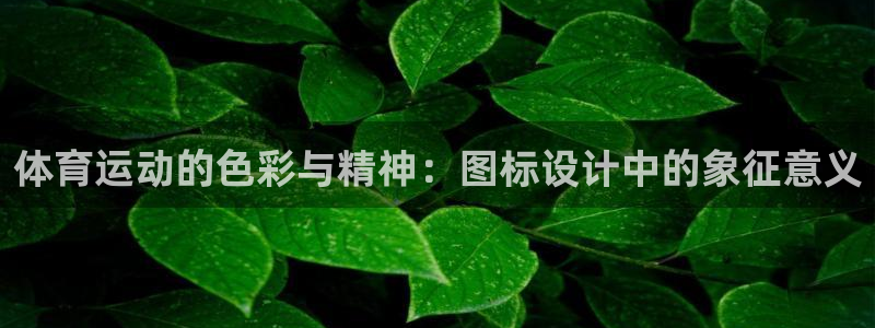 探球体育：体育运动的色彩与精神：图标设计中的象征意义