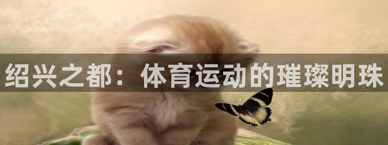 探球体育：绍兴之都：体育运动的璀璨明珠