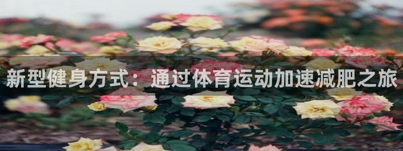 探球体育即时比分：新型健身方式：通过体育运动加速减肥之旅
