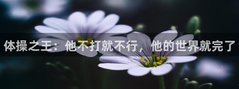 关键词：体操之王：他不打就不行，他的世界就完了