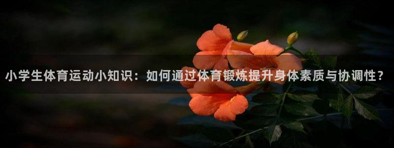 关键词