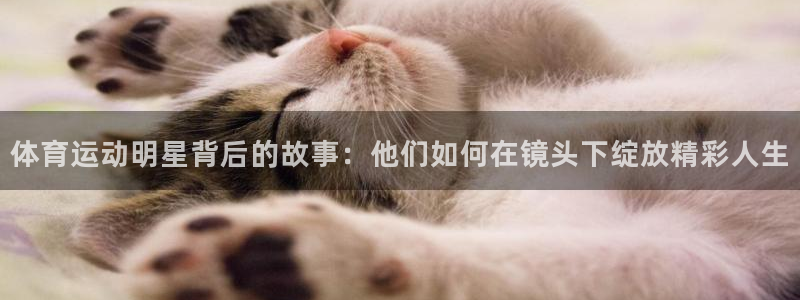 探球体育足球即时比分