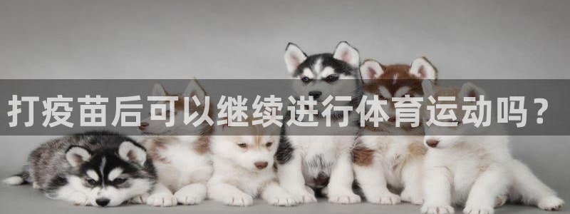 探球体育比分即时比分